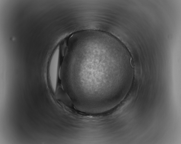 X0000093260434200710101501