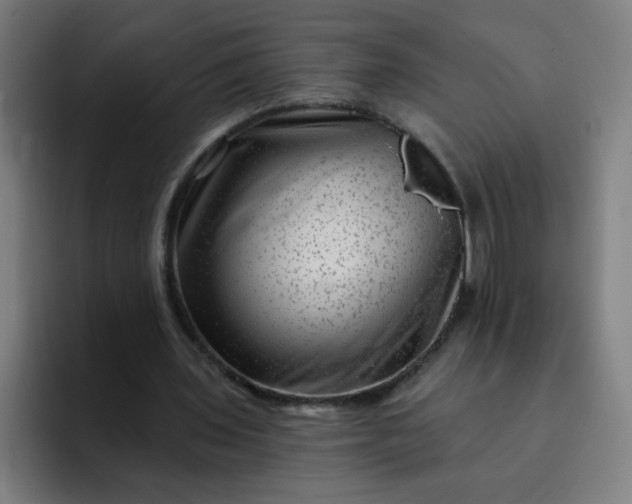 X0000093260435200710101502