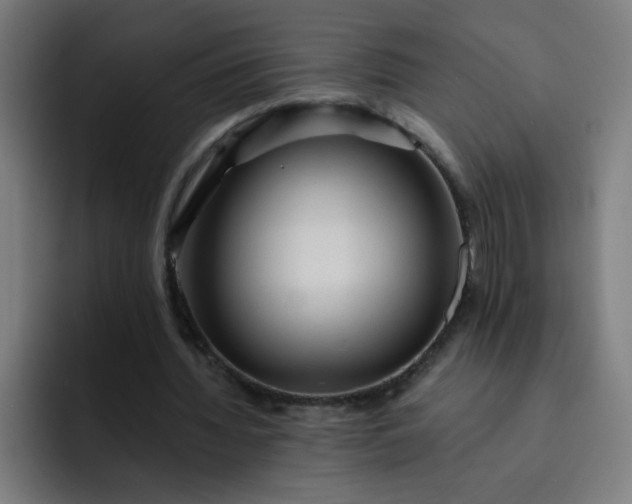 X0000093260436200710101502