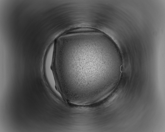 X0000093260437200710101502