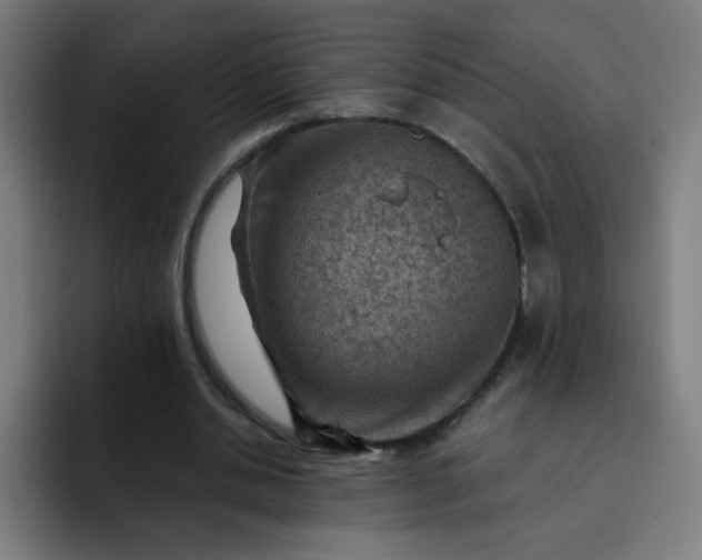 X0000093260438200710101502