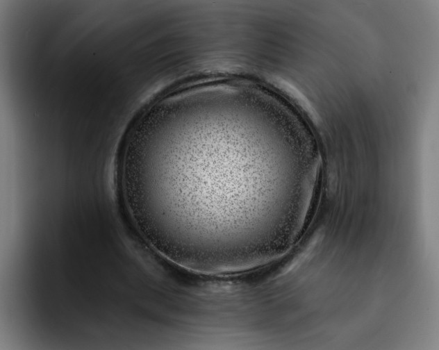 X0000093260439200710101502