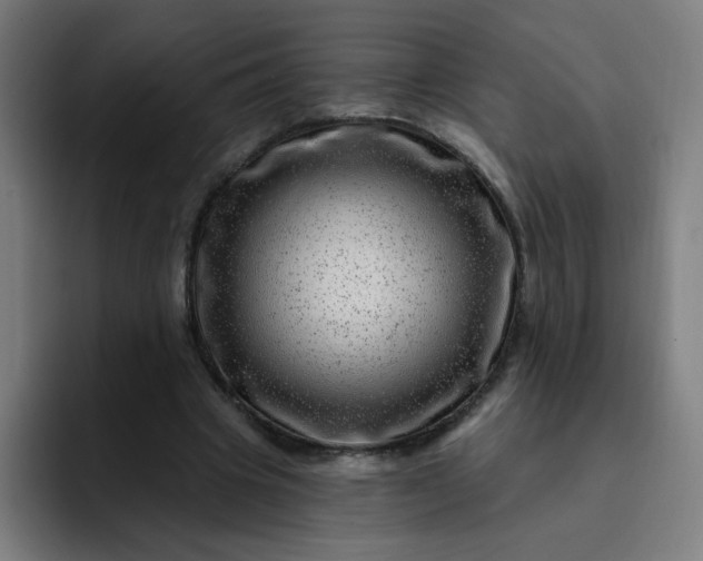 X0000093260441200710101502