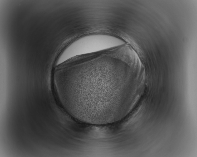 X0000093260442200710101502