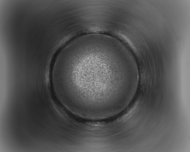 X0000093260443200710101502