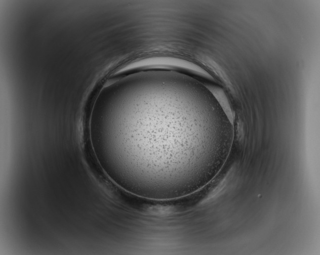 X0000093260444200710101502