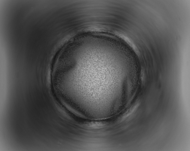 X0000093260445200710101502