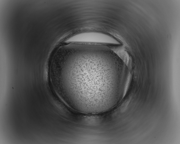 X0000093260446200710101502