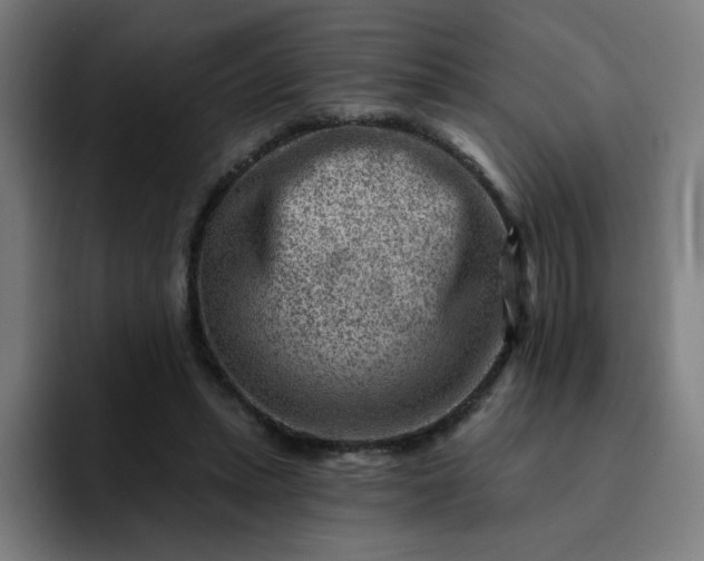 X0000093260447200710101502