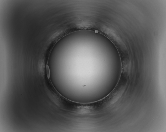 X0000093260448200710101502