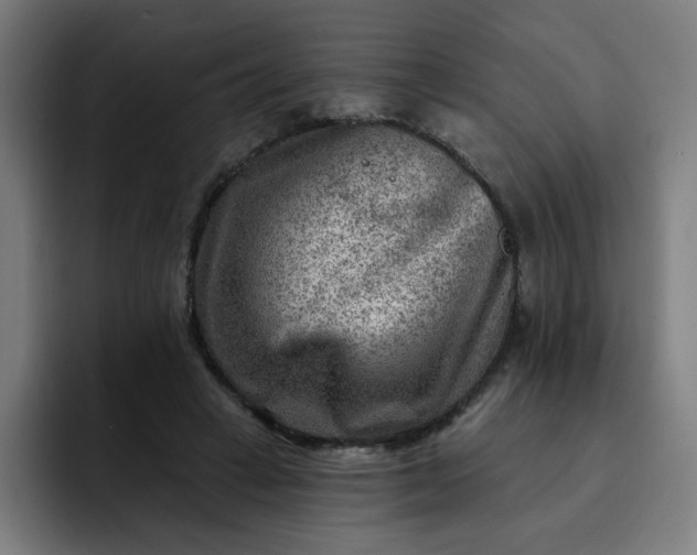 X0000093260449200710101502