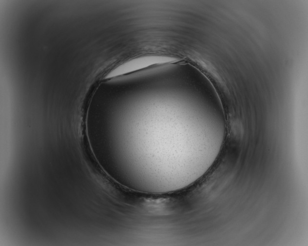 X0000093260450200710101502