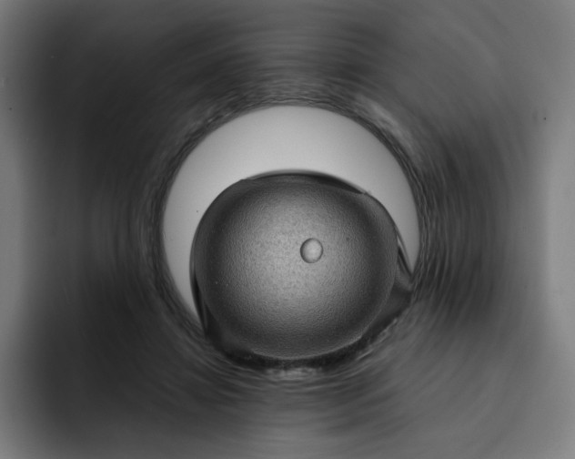 X0000093260452200710101502