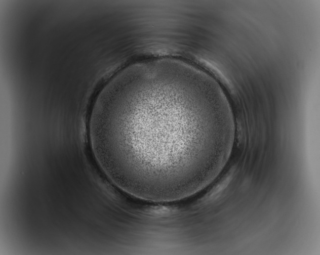 X0000093260453200710101502