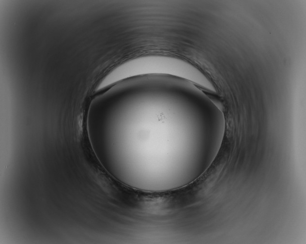 X0000093260454200710101502