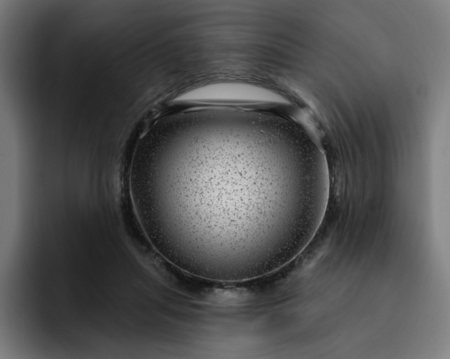 X0000093260455200710101502