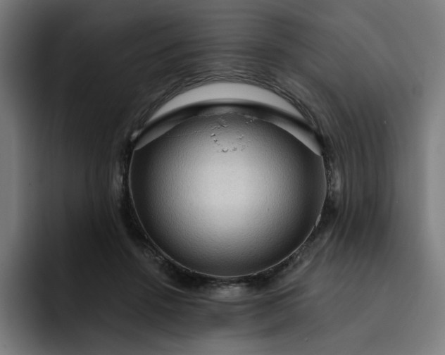 X0000093260456200710101502