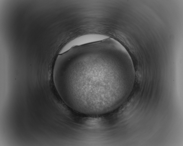 X0000093260458200710101502