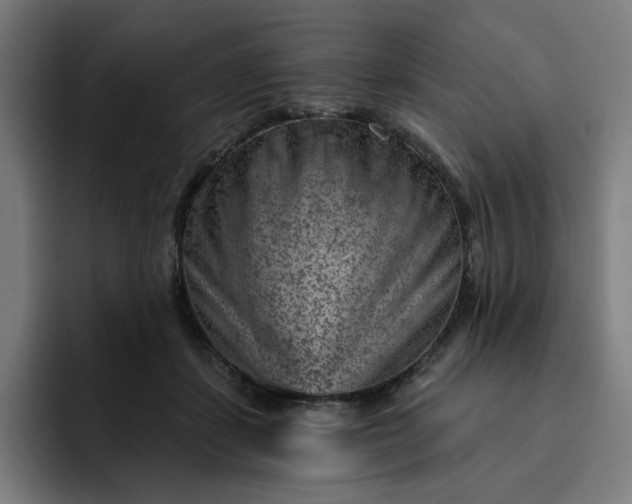 X0000093260459200710101502