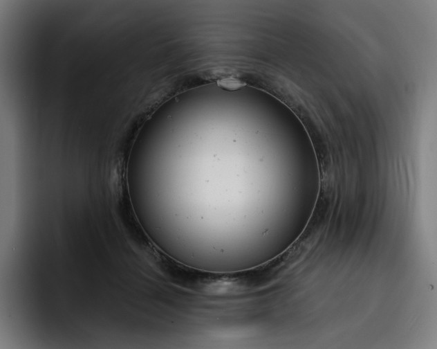 X0000093260460200710101502