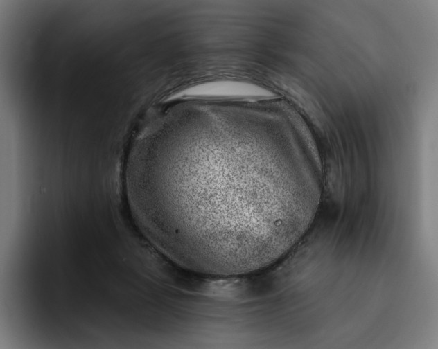 X0000093260461200710101502