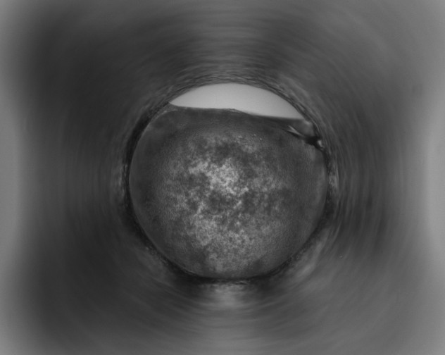 X0000093260462200710101502