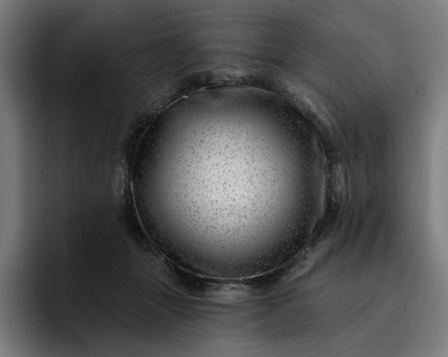 X0000093260463200710101502