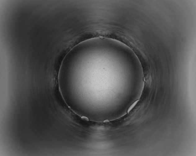 X0000093260464200710101502