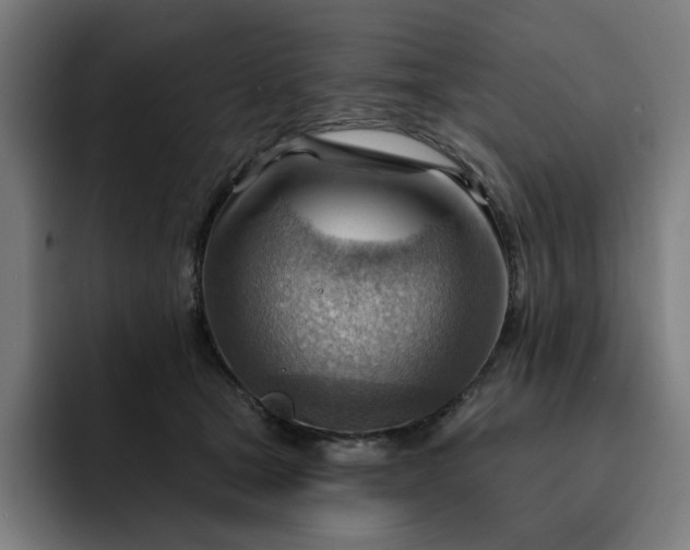 X0000093260465200710101502