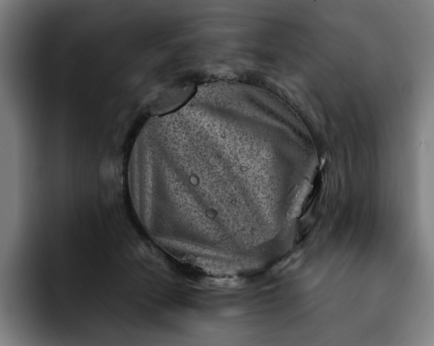 X0000093260466200710101502