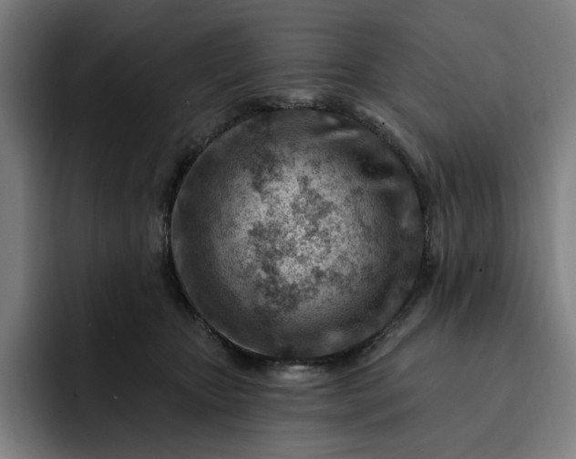 X0000093260467200710101502