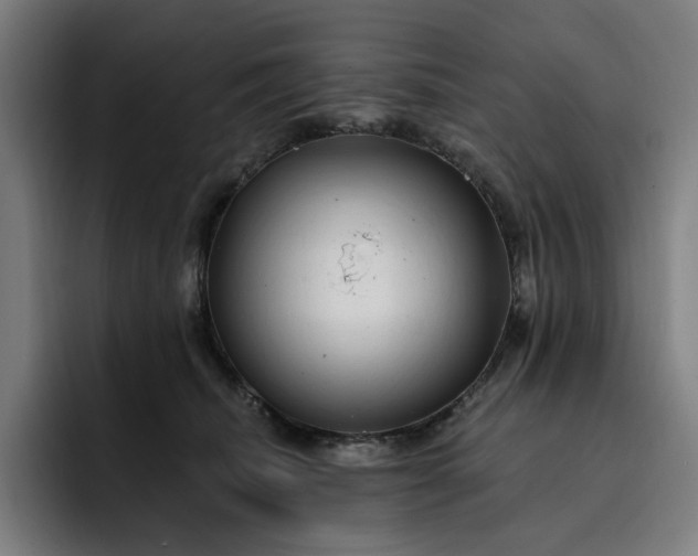 X0000093260468200710101502