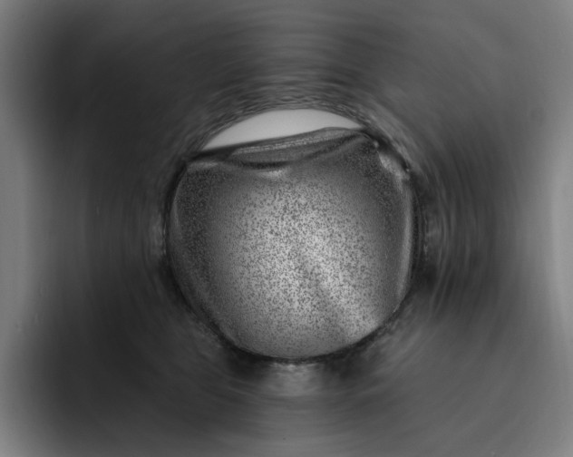 X0000093260469200710101502