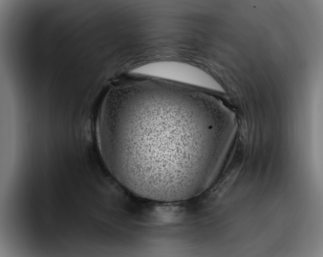 X0000093260470200710101502