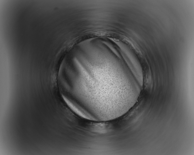 X0000093260473200710101502