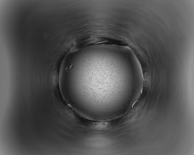 X0000093260474200710101502