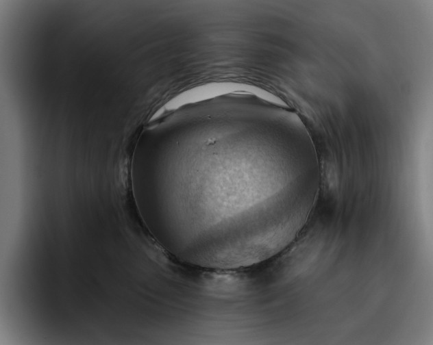 X0000093260475200710101502