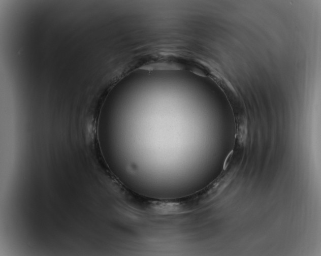 X0000093260476200710101502