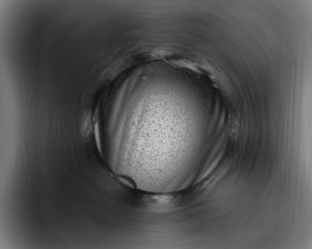 X0000093260478200710101502