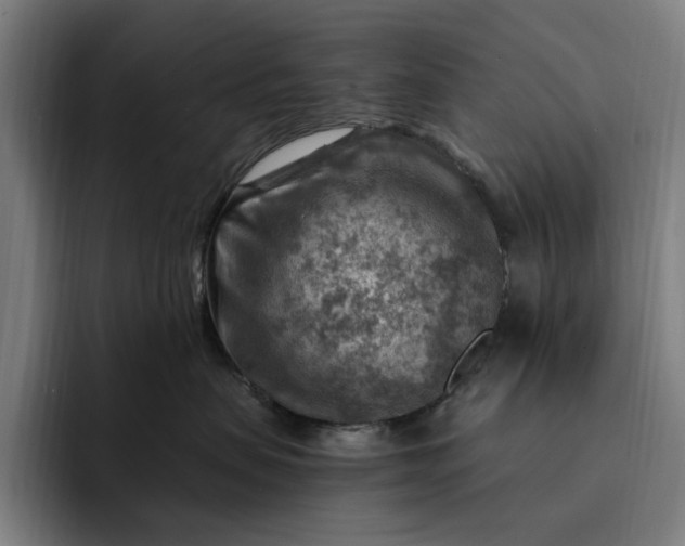 X0000093260479200710101502