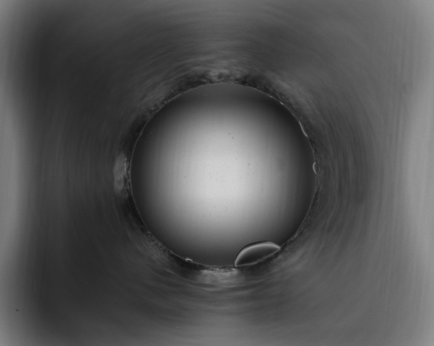 X0000093260480200710101502