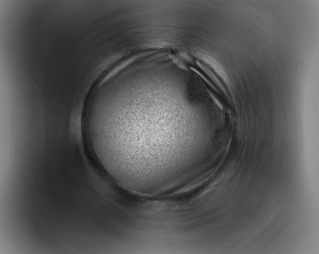 X0000093260482200710101501