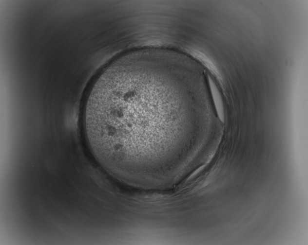 X0000093260483200710101501