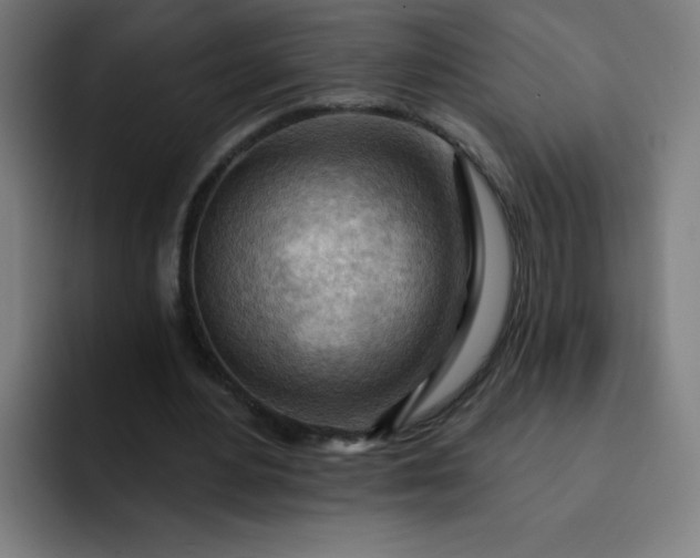 X0000093260484200710101501