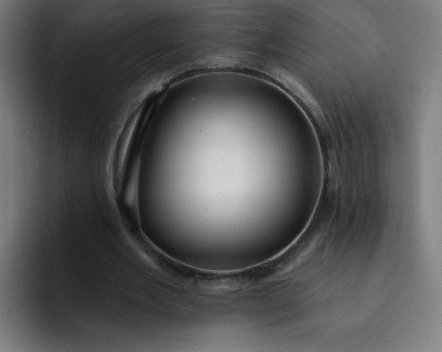 X0000093260485200710101501