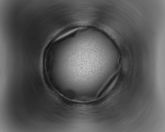 X0000093260486200710101501