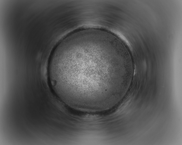 X0000093260487200710101501