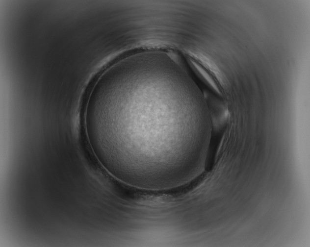 X0000093260488200710101501