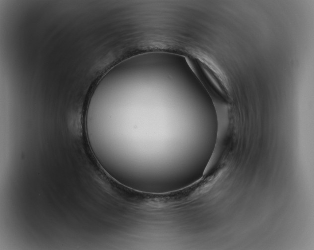 X0000093260489200710101501