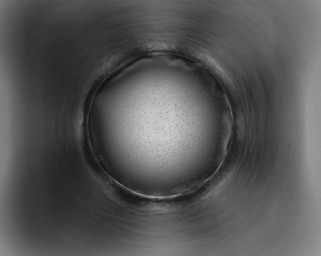 X0000093260490200710101501